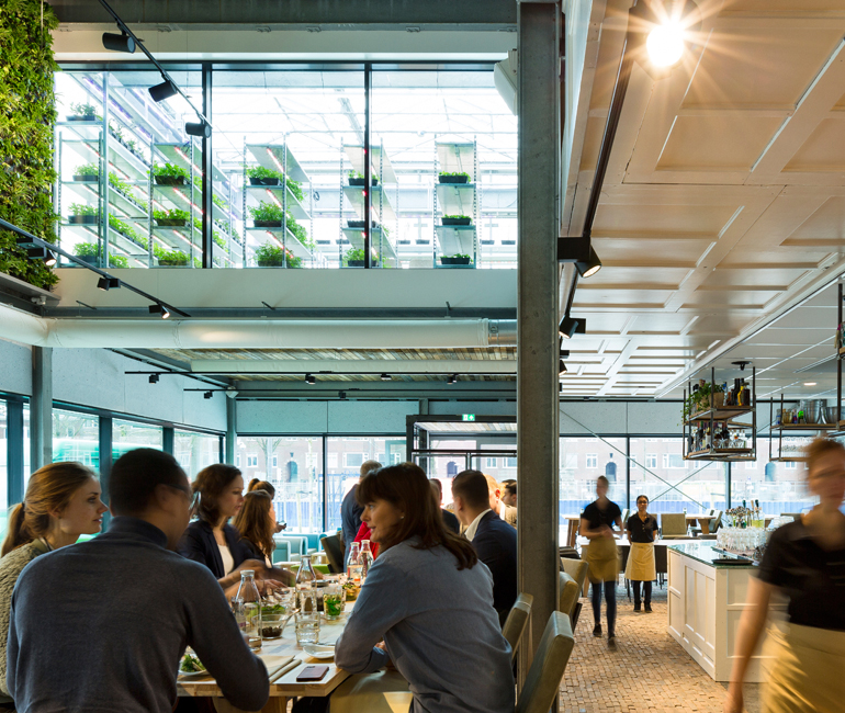 greenhouseutrecht770x650px-2.jpg